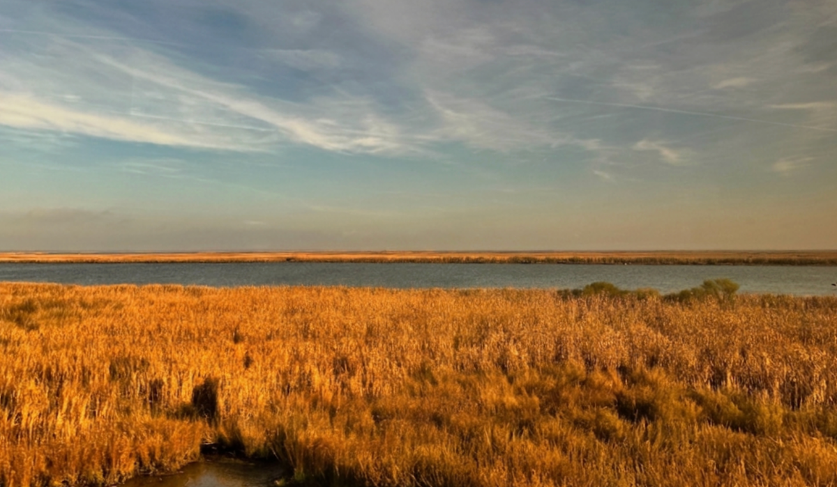 A better way to coast