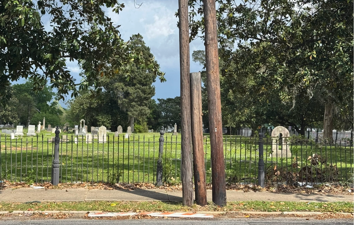 Why those old power poles get under our skin