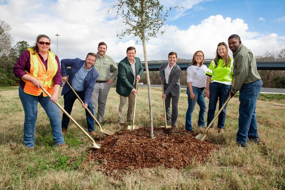 BR Green is replanting tree canopy