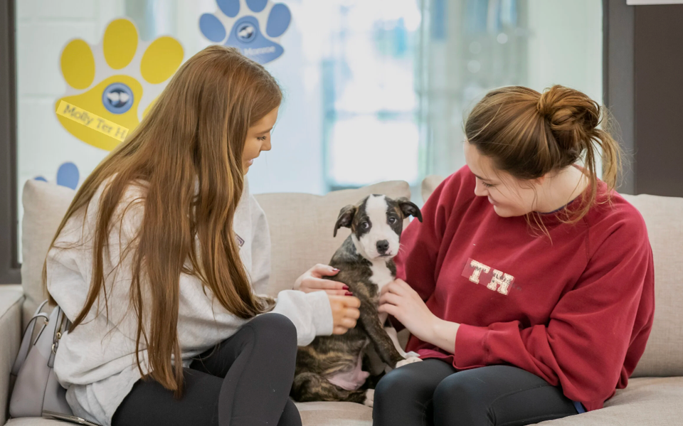 Dogs go way, way back